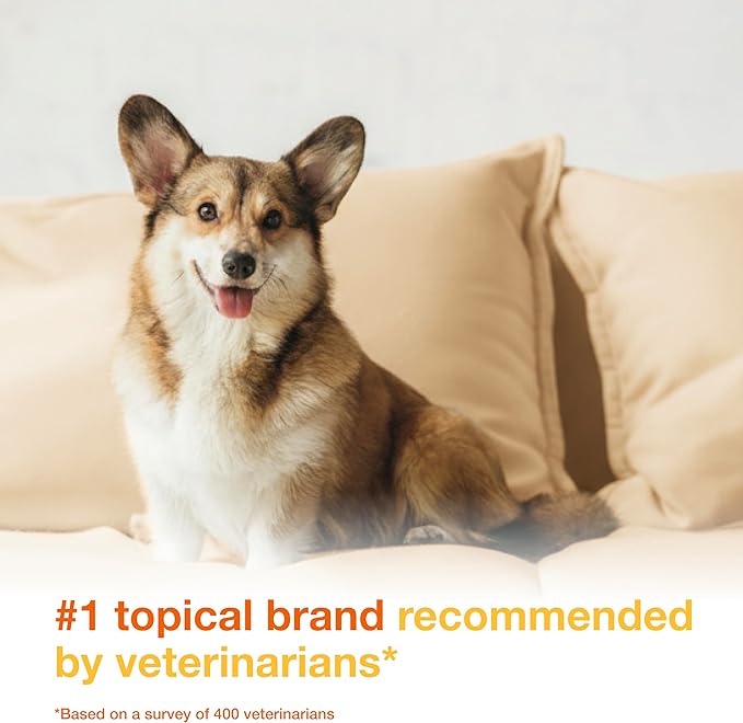 Douxo S3 Pyo Mousse, Contains 3% Chlorhexidine & 0.5% Ophytrium, Antiseptic & Hydrating, for Bacterial or Yeast Skin Infections, for Dogs, 5 fl. oz. (150mL)