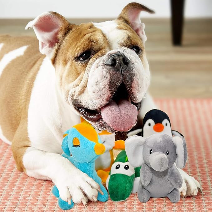 SHARLOVY Jouets couineurs pour petits chiens, jouets en peluche pour chiots, jouets à mâcher mignons pour la dentition des chiots, pour chiens de petite à moyenne taille, lot de 12 jouets doux en peluche pour animaux de compagnie dans une boîte cadeau
