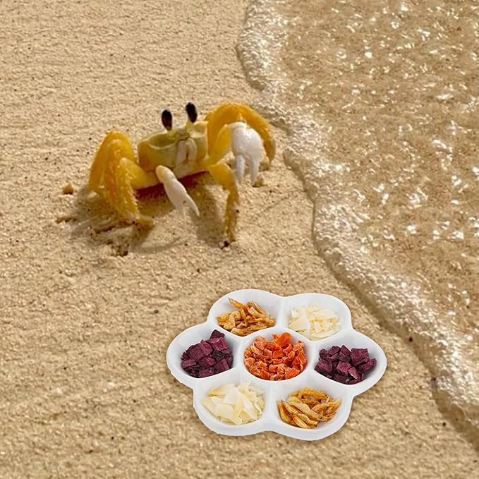 3.5" Hermit Crab Ceramic Food Dish,7 Compartments Ceramic Anti-Turning Food & Water Bowl for Hermit Crab Tarantula Snail,2Pcs