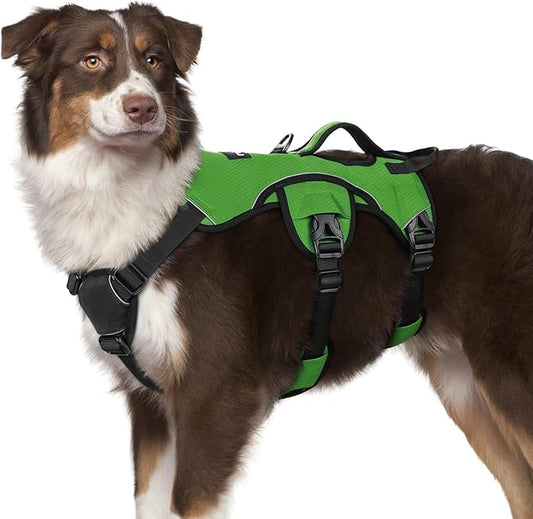 rabbitgoo Escape Proof Dog Harness for Medium, No Pull with Lift Handle | No Escape, Full Soft Padded, Reflective Adjustable Vest, Leash Clip for Walking Hiking Training, Green, Medium