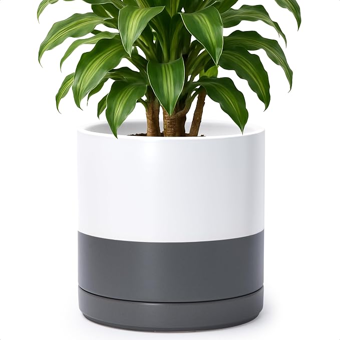 D'vine Dev 10 Inch Ceramic Planter Pot, White/Grey, 94-O-E-6 | Modern Cylinder Design, Drainage Hole & Saucer Included, Stable Structure, Elegant Home Accent