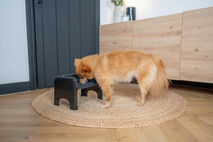 The Fluff Trough Elevated Slow Feeder Dog Bowl - Prevents Fast Eaters from Binging & Choking on Food, Minimizes Neck Strain, Suitable for Flat-Faced Pets, Vet Recommended, Dishwasher Safe, Black