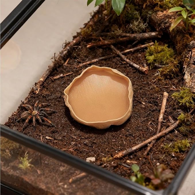 1 PCS Spider Micro Water Bowl Jumping Spider Feeding Dish Tarantula Water Dish for Millipede Gecko Lizard Tarantula Tiny Reptiles (2.17" D, 0.31" H) Gray
