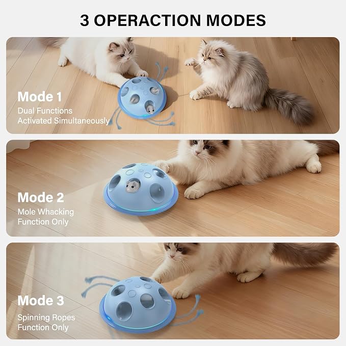Pawingcat Interactive Cat Toys for Indoor Cats with Plush Mouse and String | Automatic String,Hide and Seek ,Blue