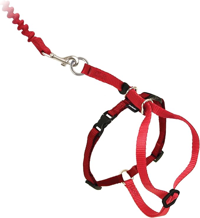 PetSafe Come With Me Kitty Harness and Bungee Leash, Harness for Cats, Large, Red/Cranberry (CWMK-L-RED) | Adjustable 2-Point Fit Applies Gentle Pressure to Shoulders, Not Neck, for Average and Large Cats with 13 in - 18 in Girth
