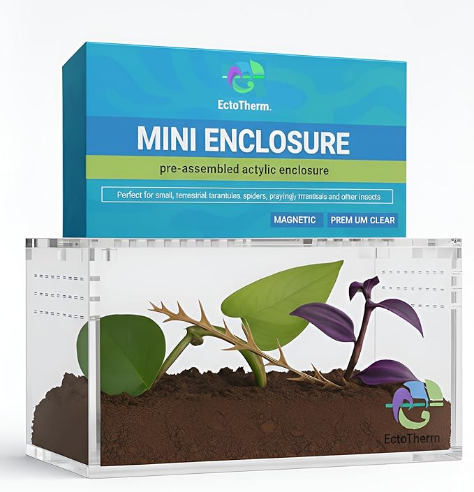 EctoTherm Acrylic Tarantula Enclosure - Versatile Terrarium for Terrestrial Tarantula, Scorpion, Isopod, Jumping Spider, Millipede, Snail, Small Reptile & Insect Habitat Kit