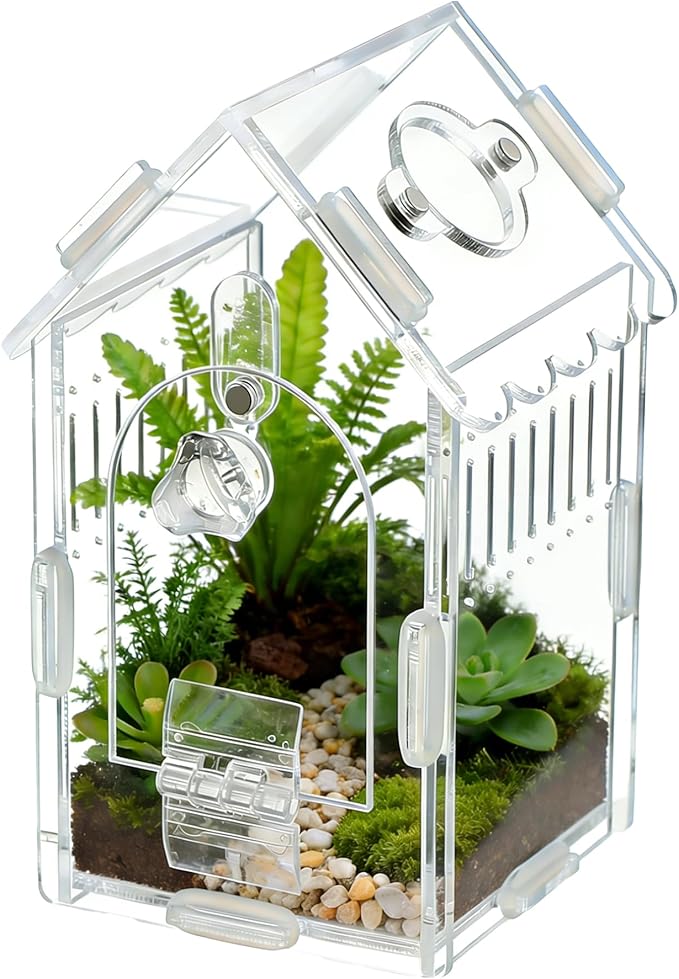 House-Shaped Acrylic Insect Terrarium & Reptile Habitat Kit - Multi-Purpose Bug Enclosure for Jumping Spiders, Praying Mantises & Frogs - Clear Acrylic Insect Cage with Ventilation, Easy Maintenance