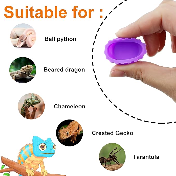 Meow&Woof Crested Gecko Food and Water Feeding Cups, Reptile Food Dish, Colorful Water Bowl for Bearded Dragon Tank Terrarium Accessories Supplies for Tortoise, Crab and Small Pet (12 Pcs)