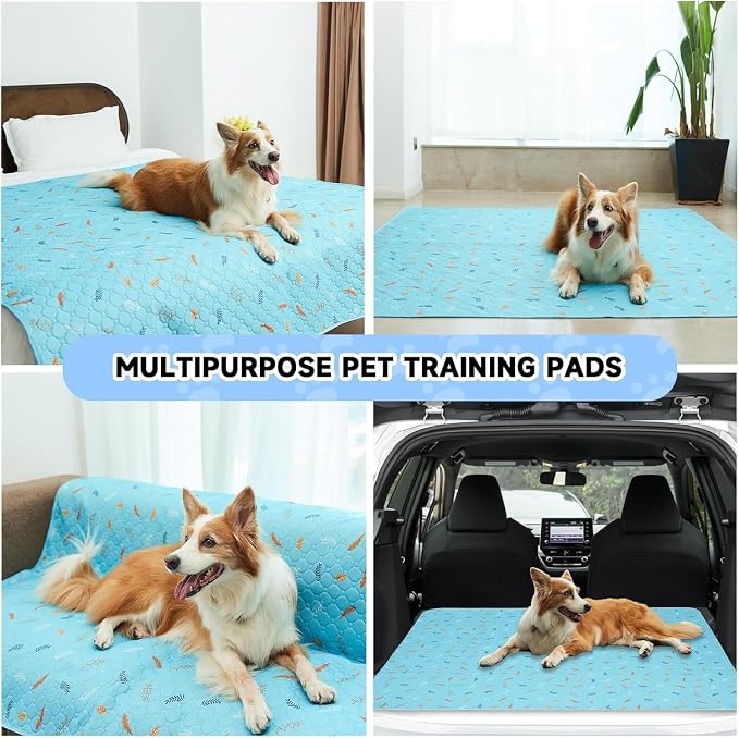 Sunheir Washable Pee Pads for Dogs Large 24" x 72" 2-Pack Reusable Puppy Pads Pet Training Pads, Absorb Dog Mats, Whelping Pad, Non-Slip Protects Against Urine Leakage, Runner Rug (Leaves - Sky Blue)