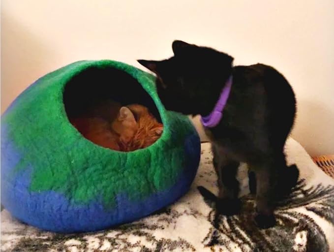 Luxurious Merino Wool Cat Cave - Foldable Hideaway Pod for Indoor Cats - Premium Felt Kitten Pet Enclosure - Covered Cat House for Ultimate Cozy Comfort by Woolygon (Blue Green)