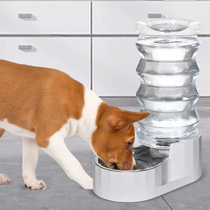 Distributeur d'eau pour chien RIZZARI Gravity : Grande fontaine d'eau automatique en acier inoxydable de 8 L – Conception anti-déversement sans BPA pour grands chiens et foyers multi-chiens – Pour usage quotidien intérieur et extérieur