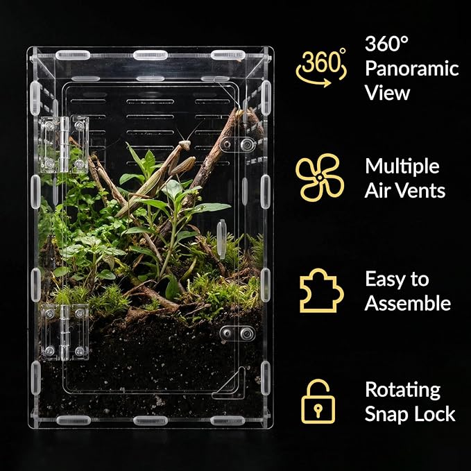 11.8 Inch Jumping Spider Enclosure, Desktop Micro Terrarium, Breeding Box, 360° Clear Acrylic Insect Habitat, 3-Side Ventilation, Easy Assembly, for Mantis, Tarantula, Snail, Small Reptiles, Plants