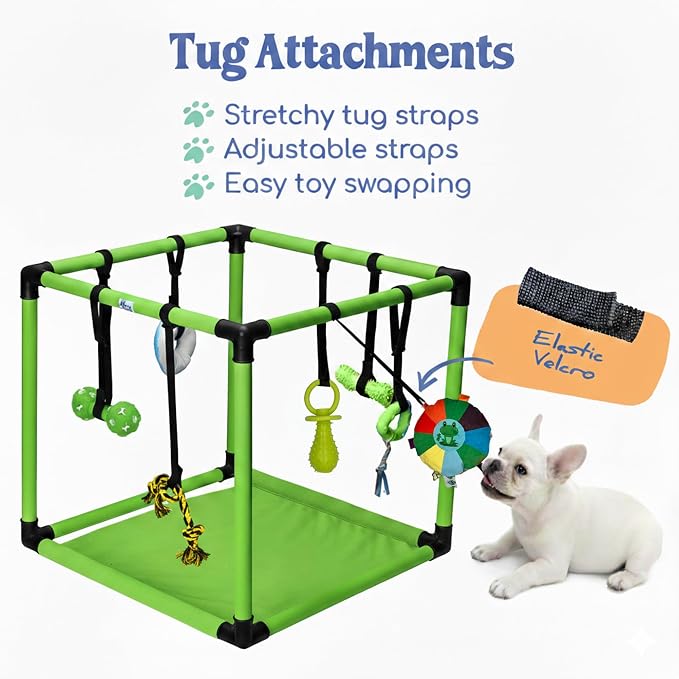 Race&Herd 19.5" Puppy Play Gym — Small Dog Jungle Activity Mat (Lime) | Dog Play Mat with 8 Bungee Straps, Interactive Puppy Active Toys — Indoor Enrichment Playground Set
