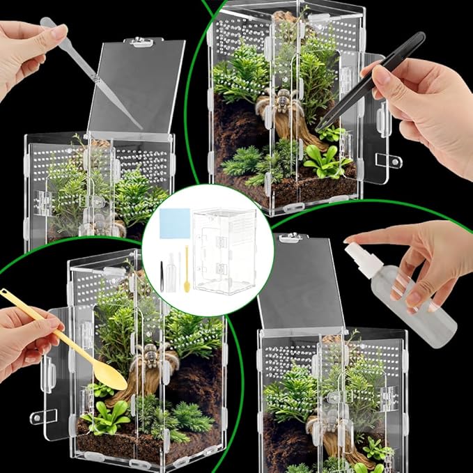 Jumping Spider Terrarium, Complete Acrylic Habitat Kit with Dual Doors, Feeding Tools for Spiders, Tarantulas, Mantis, Small Reptiles, 4.7x4.7x7.9 Inch