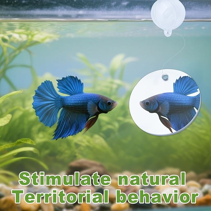 2 Pcs Betta Fish Exercise Ring and Betta Mirror Set,Betta Ring Enrichment Toys,Betta Toys Suitable for Fish Tank, Betta Tank, Betta Aquarium