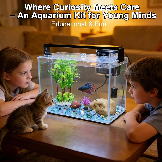 3.2 Gallon Fish Tank, Nano Nature Aquarium,Small Aquarium Starter Kit,Ultra-Clear Rimless Desktop Small Aquarium with Filter,Light,Rainforest Sand,Rock for Betta,Shrimp,Goldfish,Clear Glass