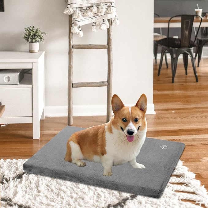 EMPSIGN Dog Bed Mat Crate Pad Mattress, Ultra Soft Pet Kennel, Grey, M | Reversible(Cool & Warm), Waterproof Linings, Removable Machine Washable Cover, for 30" Dog Crate, Firm Support