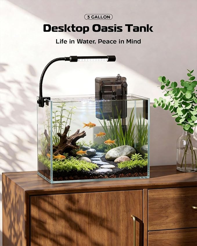 Glass Fish Tank Kit, 3 Gallon Betta Fish Tank Aquarium Starter Kit with Filter, Lights, Lid, for Betta, Goldfish, Small Fish or shrimg，Clear