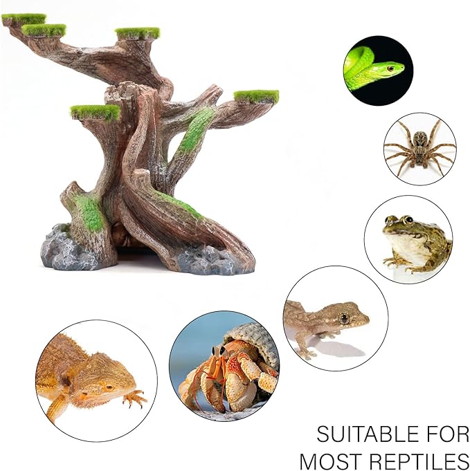 relaqcc Reptile Decor Aquarium Decorations Artificial Moss Resin Fish Tank Rocks Simulation Hollow Tree Leopard Gecko Trunk Accessories Aquarium View（Medium）