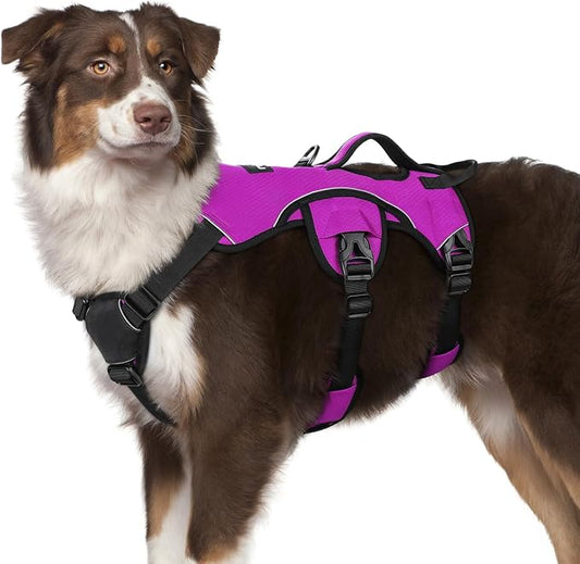 rabbitgoo Escape Proof Dog Harness for Medium, No Pull with Lift Handle | No Escape, Full Soft Padded, Reflective Adjustable Vest, Leash Clip for Walking Hiking Training, Purple, Medium