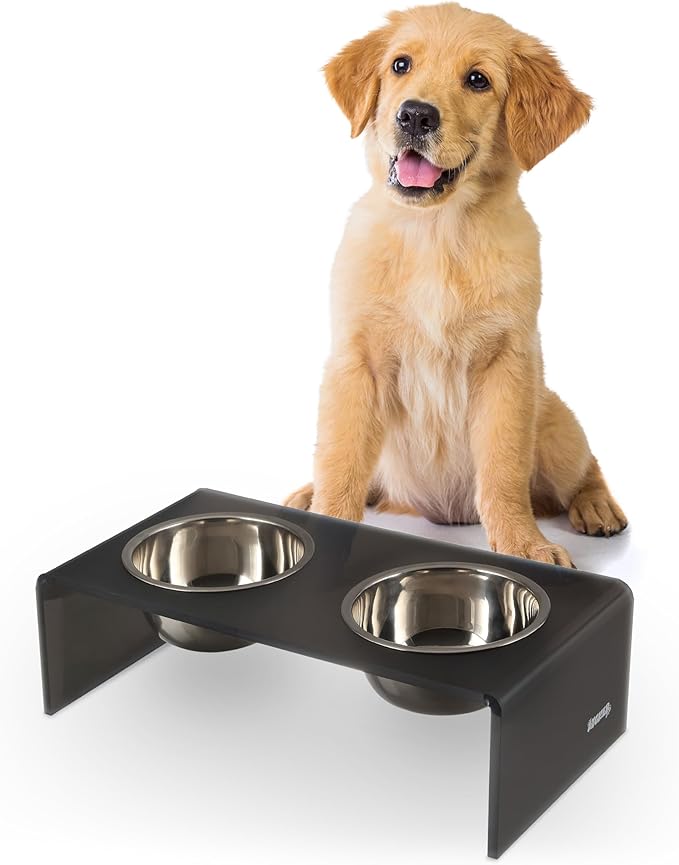 DBL2000J Keaton 5" Small/Medium Modern Acrylic Rectangular Elevated Pet Feeder with 20oz 2-Stainless Steel Bowls, Dark Gray/Chrome
