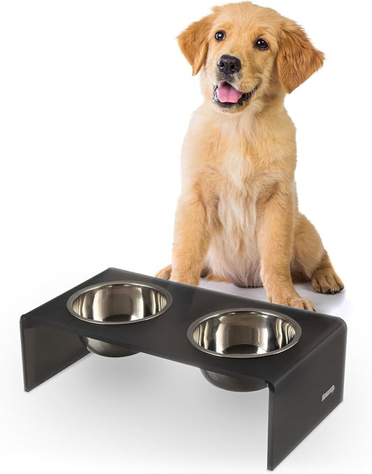 DBL2000J Keaton 5" Small/Medium Modern Acrylic Rectangular Elevated Pet Feeder with 20oz 2-Stainless Steel Bowls, Dark Gray/Chrome