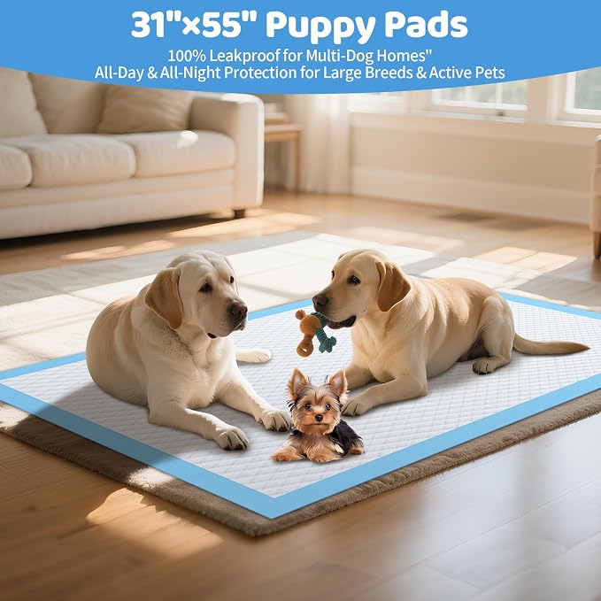 Gimars 31''x55'' Extra Large pet Disposable Pads, Dog Training Pads 40 Counts