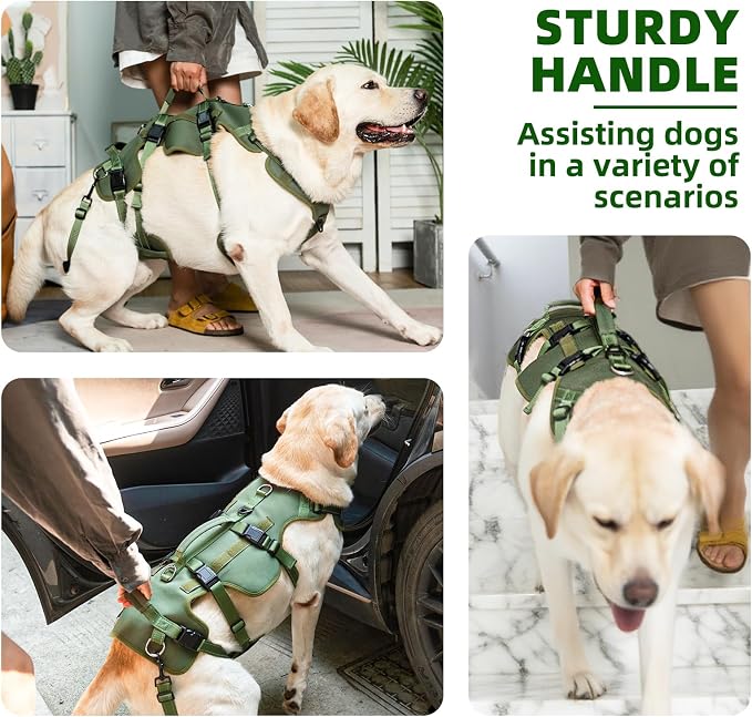 PUPTECK Dog Lift Harness for Medium Large Sized Dog, Rehabilitation Sling for Hind Leg Support, Multifunctional Mobility Assistance Harness for Old, Disabled, Joint Injuries, Paralysis Dogs, Green L