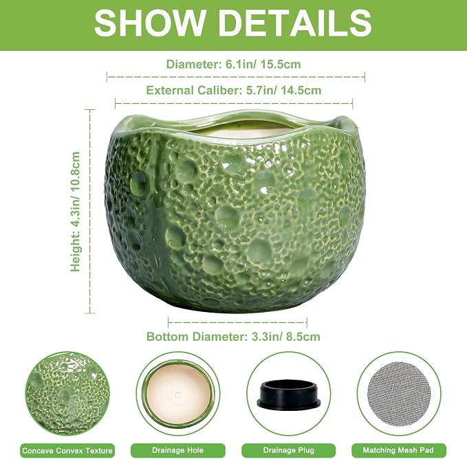 6 Inch Plant Pot - Orchid Pot with Drainage Hole, Ceramic Planter for Indoor Outdoor, Decorative Plant Pots, Modern Round Unique Flower Pots, Living Room Decor, Gifts for Women Men, Green