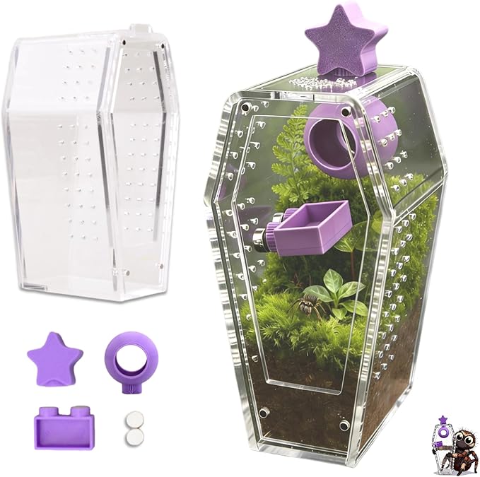 Jumping Spider Enclosure,Acrylic Magnetic Terrarium with Water Feeder and Star Hide,Terrarium Kit for Tarantulas Snails 5.9x2.6x3 Inches 6PCS(Purple)