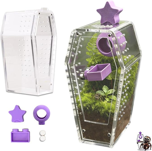 Jumping Spider Enclosure,Acrylic Magnetic Terrarium with Water Feeder and Star Hide,Terrarium Kit for Tarantulas Snails 5.9x2.6x3 Inches 6PCS(Purple)