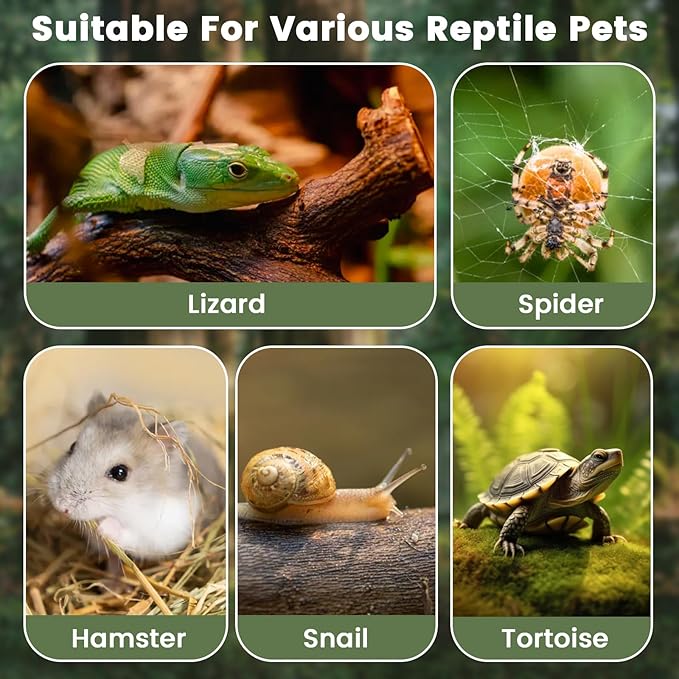 Jumping Spider Enclosure, 6"×6"×11.8" Escape Proof Transparent Acrylic Enclosure, Magnetic Door Acrylic Tarantula Terrarium with Feeding Port, Praying Mantis Terrariums, Arboreal Tarantula Cribs