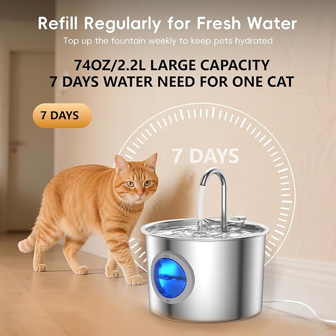 Cat Water Fountain Stainless Steel: Cat Fountain for Drinking with 6 Filters + 6 Sponges - 74oz/2.2L Pet Water Fountain for Cats Inside - Quiet Cats Water Bowl Dispenser - Kitten Drinking Fountains