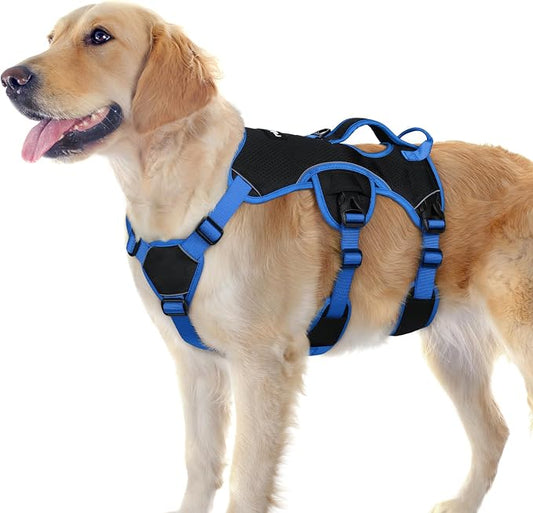 rabbitgoo Escape Proof Dog Harness for Large, No Pull with Lift Handle | No Escape, Full Soft Padded, Reflective Adjustable Vest, Leash Clip for Walking Hiking Training, Blue & Black, Large