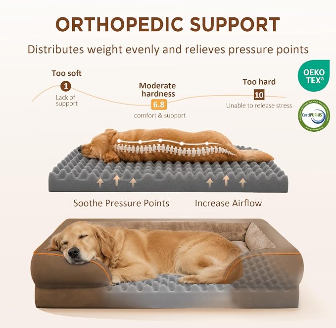 Comfort Expression Orthopedic Dog Beds for Large Sized Dog with Bolster | Waterproof Dog Couch Bed with Washable Cover & Non-Slip Bottom, Supportive Egg Crate Foam Large Pet Bed, 35x22 Inch