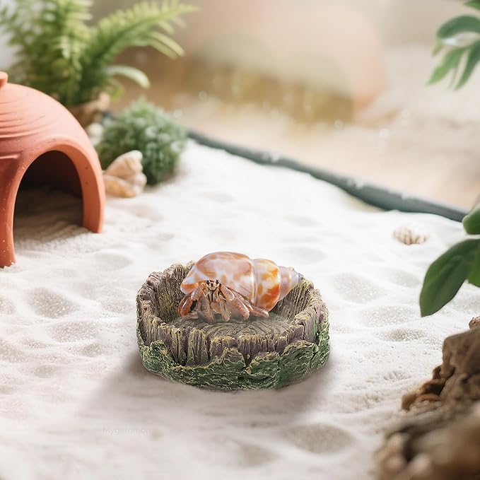 Reptile Water Dish Hermit Crab Food Bowl Small for Tank Feeding 2 Pack