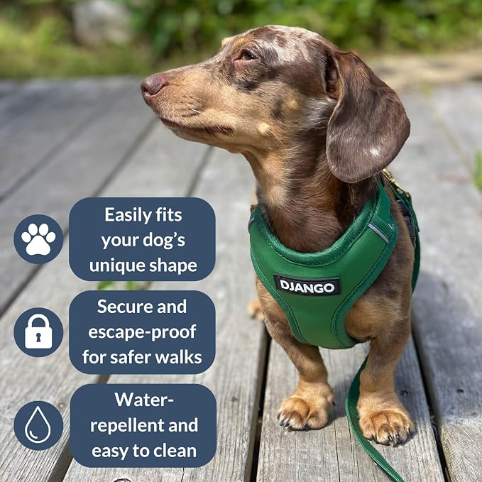 Adventure Dog Harness - Stylish and Durable Large Dog Harness for Outdoor Adventures and Everyday Wear - Forest Green Neoprene Adjustable Harness for Dogs with Reflective Piping & Brass D-Ring