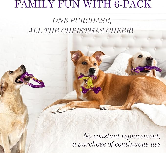 Jouets pour Chiens Mordeurs Agressifs (lot de 6) : Jouet pour Grand Chien Mâcheur Agressif, Jouet pour Chien Occupant, Goût Bacon