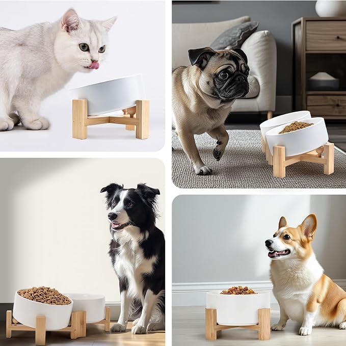 SPUNKYJUNKY 15° Slanted Ceramic Dog and Cat Bowl with Wooden Stand, Tilted Bulldog Food and Water Bowl No Slip Non-Spill for Cats Medium Dogs Big Face Pets 28.7 OZ (3.6 Cups, White)