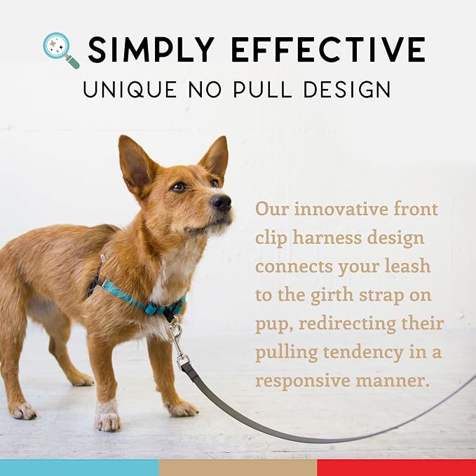 No Pull Dog Harness | Comfortable Training Harnesses | Effective No Pull Harness Design | Ideal for Small Dog and Puppy | 4-Point Adjustable (S -18~24 inch Girth, Turquoise)