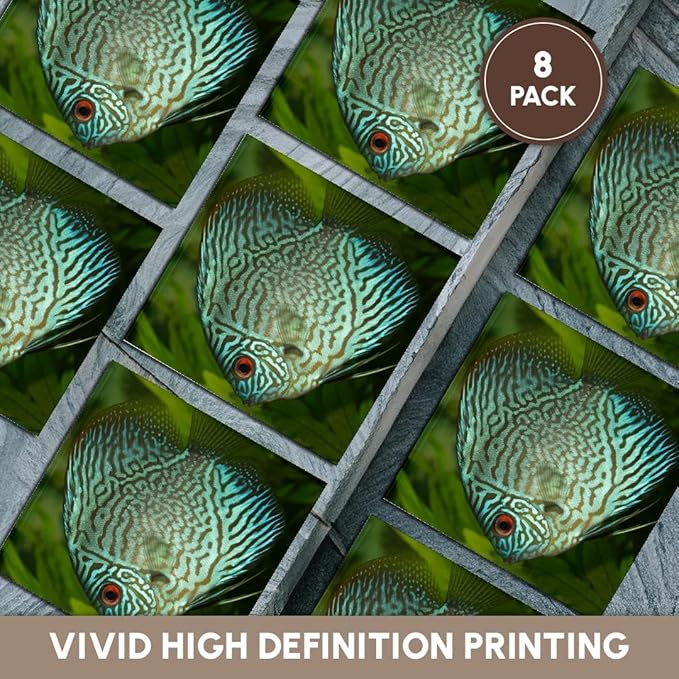 3dRose Blue Exotic Discus Fish Set of 8 Ceramic Tile Coasters