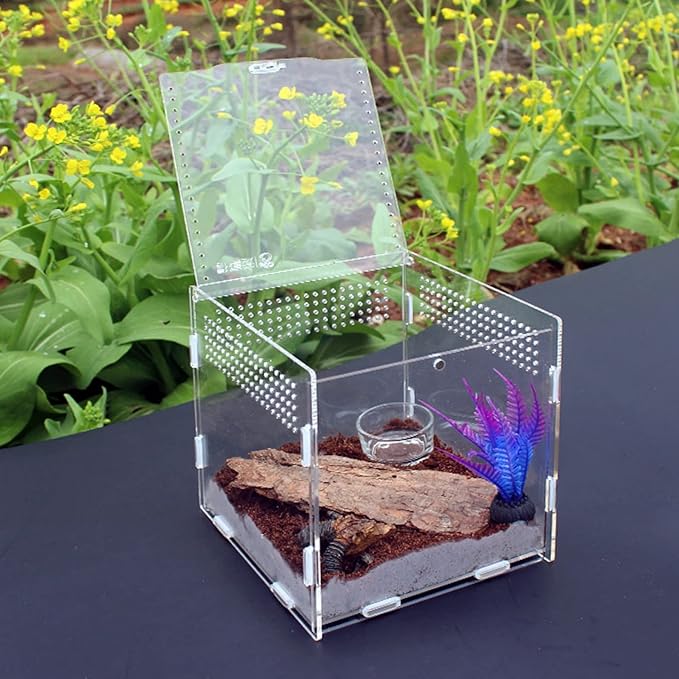 AWXZOM Magnetic Acrylic Case, micro habitat small Tarantula Enclosure enclosure for arboreal Tarantula Scorpion Sling Lizards Mantis Snake Gecko jumping spider snail Insect Isopods (3.5*3.5*3.7inch)