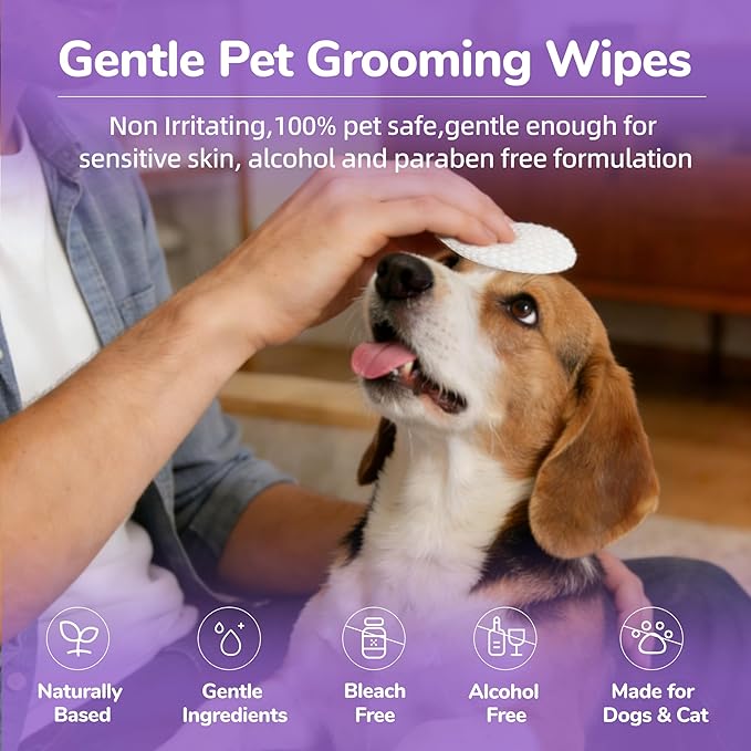 Dog Eye Wipes, 120 Count Cat Eyes Cleaning Wipes Gentle Pet Tear Stain Remover, Hypoallergenic Puppy Dogs Eye Wash Cleaner for Debris Discharge Mucus, Vet Recommended Aloe Chamomile Pets Wipe Pads