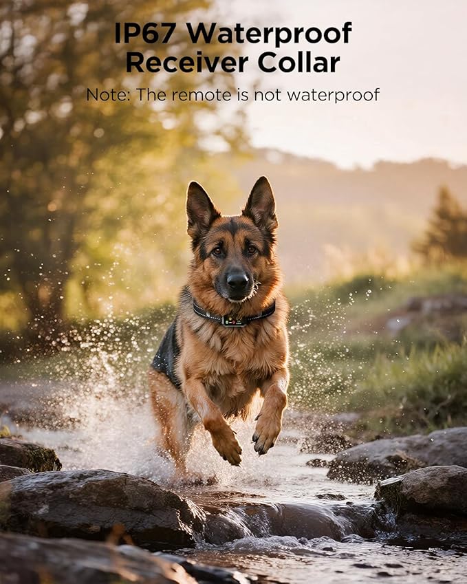 BLACKDOG Military Dog Shock Collar 2 Dogs (5-150lbs) - 4200ft Dog Training Collar with Remote, 4 Training Modes, Flashlight&Strobe, 90-Day Battery, IP67 Waterproof Dog E Collar for All Breeds (Green)