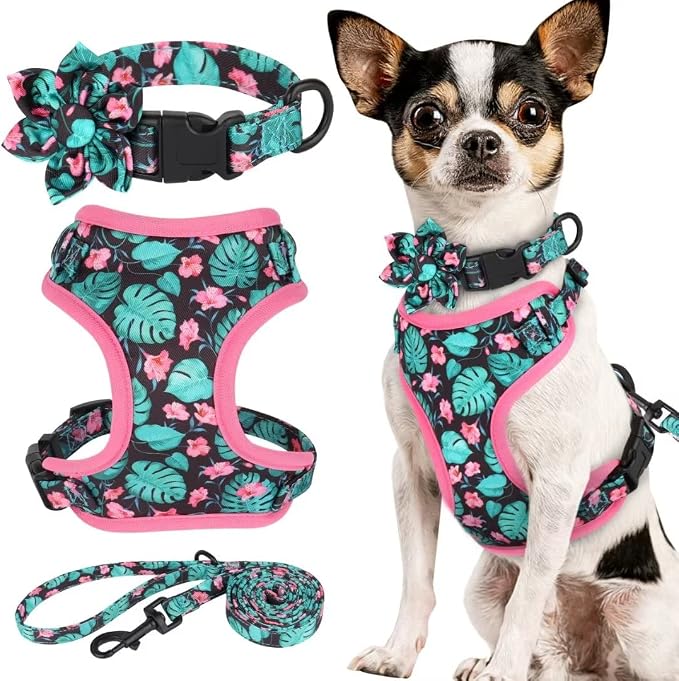 Beirui Cute Dog Collars,Harnesses,Leashes Set, Floral Pattern, Green,XXS | Girl Dog Harness Set with Flower, Adjustable and Soft Mesh Lining, For Puppies Small & Extra Small Dogs Daily Walks