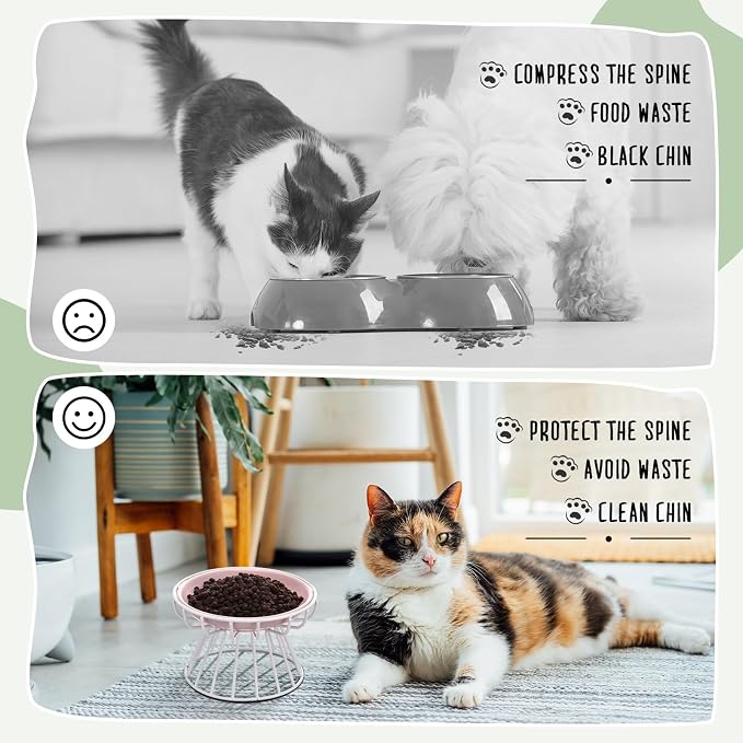 Hushee 6 Pcs Raised Cat Bowls Elevated Ceramic Cat Food Bowls with Metal Stand Anti Vomit Feeding Dishwasher Safe Shallow Ceramic Water Food Plate for Kitten Small Dogs