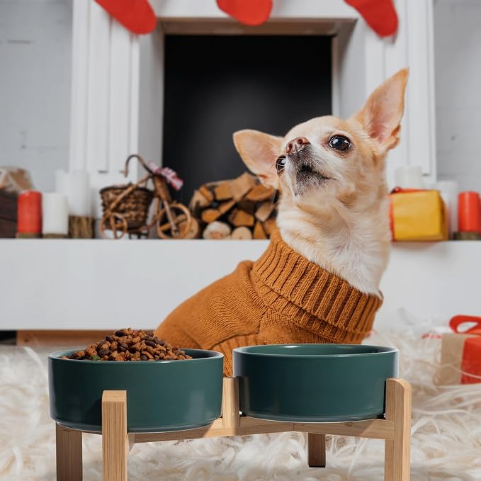 Elevated Ceramic Dog Bowl, 2 Cups Dog Food and Water Bowl Set with Stand | 5.1'' Double Dog Feeding Dishes, Non-Slip Raised Dog Feeder for Cats and Puppies, 16.23 OZ / 480 ML, White