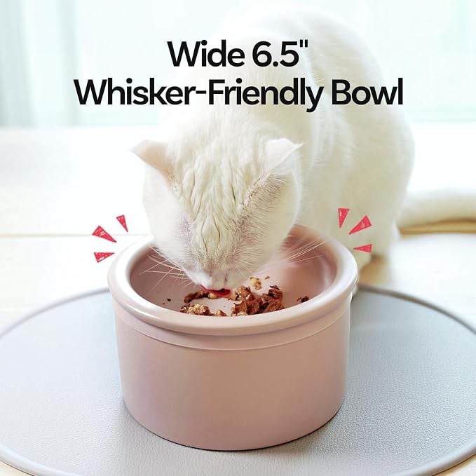 Hello Bowl Elevated Ceramic Cat Bowl with Stand, Raised Whisker-Friendly Feeding Bowl for Cats & Small Dogs, Patented Design, Made in Korea (3.9" H - White, Square/Dry)