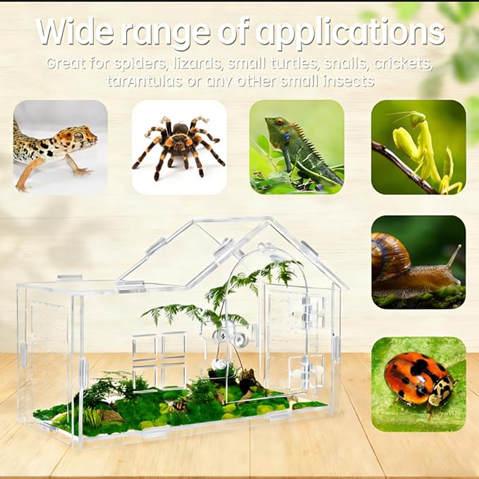 Jumping Spider Enclosure, Acrylic Habitat with Secure Feeding Port & Ventilation - Ideal Treehouse for Arboreal Spiders, Easy-Clean Terrarium for Pet Tarantulas, Mantises, and Small Invertebrates (1)