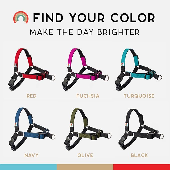 No Pull Dog Harness | Comfortable Training Harnesses | Effective No Pull Harness Design | Ideal for Small Dog and Puppy | 4-Point Adjustable (S -18~24 inch Girth, Turquoise)